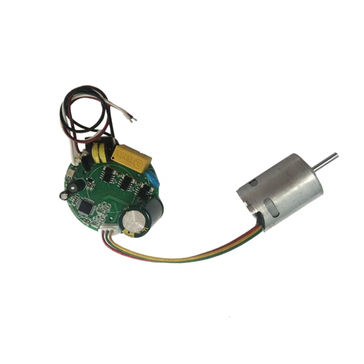 110V BLDC Fan Motoru