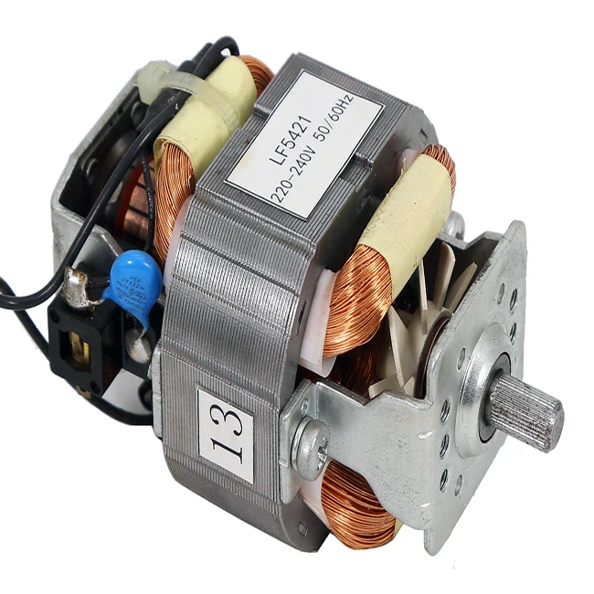 Meyve Sıkacağı için Elektrikli AC Üniversal Motor