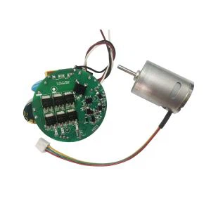 220V Saç Kurutma Makinesi BLDC Motor
